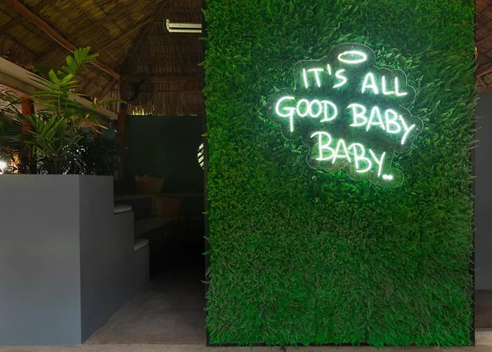 The Space Jungle Oasis